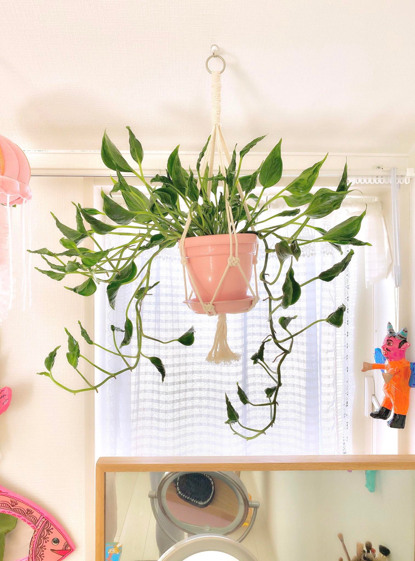 Shangri La Sleeping Godzilla Pothos Plant Node Cuttings, Houseplant Cuttings, Shangri La Pothos Collectors , Plant Cutting