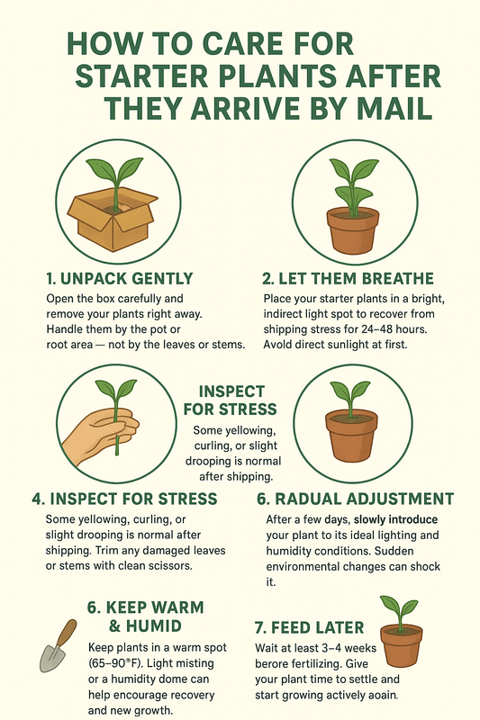 How to Care for Starter Plants After They Arrive by Mail