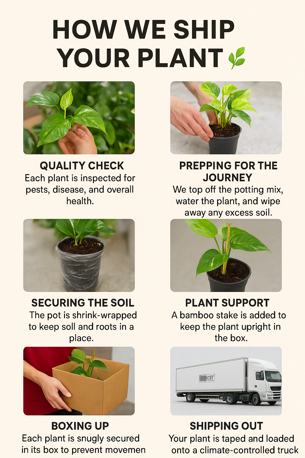 How We Ship Your Plant 🌿 Rooting4Joy Online Plant Nursery Shipping To USA Info